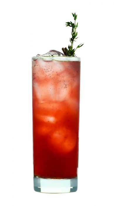 PINK CRANBERRY AND STRAWBERRY SPARKLER