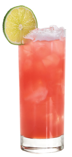 SEA BREEZE (High Ball Glass)