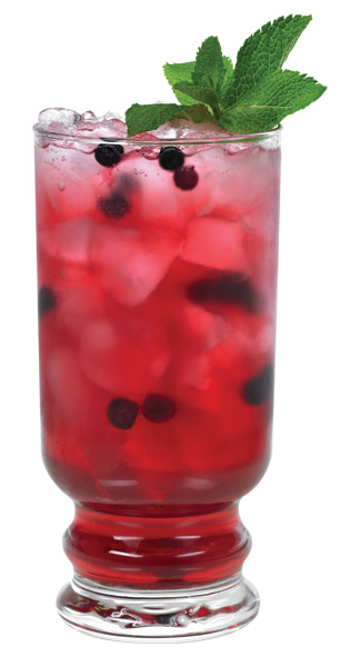 MINT CRAN•BLUEBERRY COLLINS