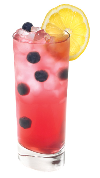 CRAN•BLUEBERRY COLLINS