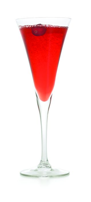 SPARKLING POINSETTIA