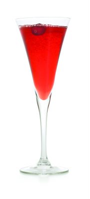 SPARKLING POINSETTIA