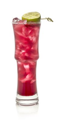 GINGER’S SHIPWRECK