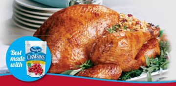 TURKEY WITH WILD RICE & CRANBERRY STUFFING